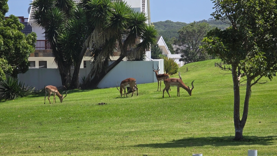 6 Bedroom Property for Sale in Cove Rock Eastern Cape